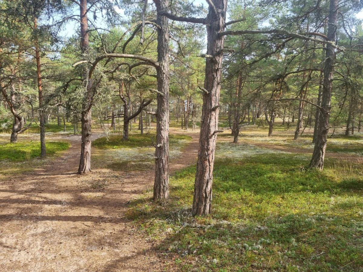 Norwegian Saunahouse Haapse Zewnętrze zdjęcie